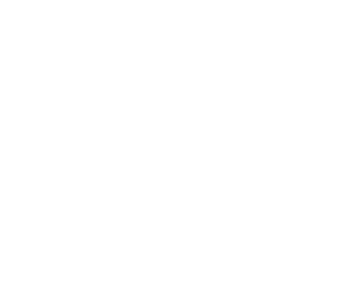 NETMOUNTAINS logo